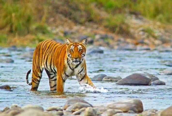Dehradun to Agra Taxi